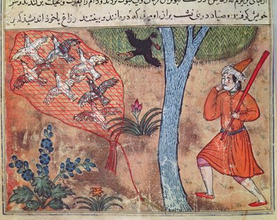 Chasse aux oiseaux, du 