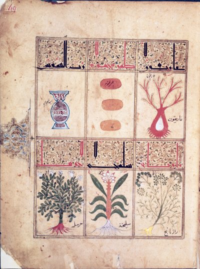 Ms. Arabe 2964 fol.49 Plantes du Traité de Thériaque d