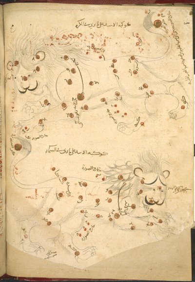 Or 5323 f.45v Deux lions, illustration de 