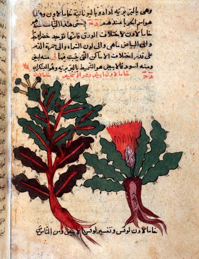 Page d