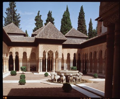 Vue de la Cour des Lions, cour principale du Palais Nasride des Lions - Islamic School