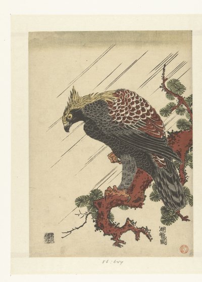 Aigle sur une branche de pin sous la pluie - Isoda Koryusai