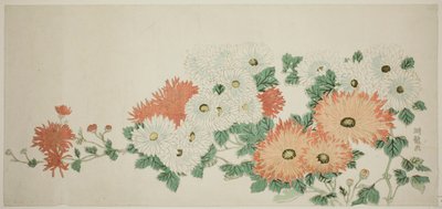 Chrysanthèmes - Isoda Koryusai