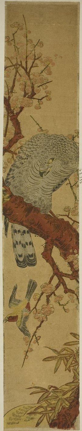 Faucon sur une Branche de Prunier Regardant un Oiseau en Fuite - Isoda Koryusai