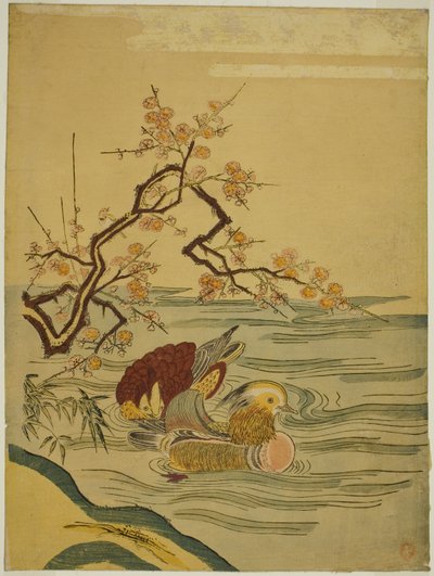 Canards mandarins nageant sous une branche de prunier - Isoda Koryusai