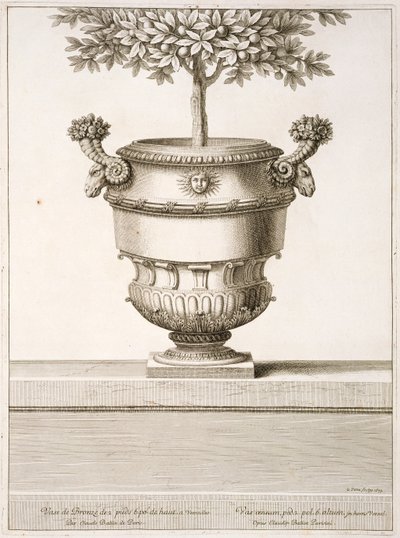 Urnes en bronze utilisées pour les agrumes, illustration de 