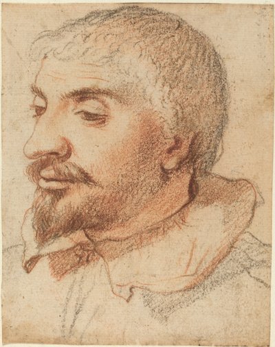 Tête d