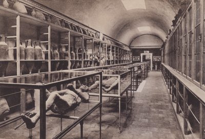 Intérieur du musée - Italian Photographer