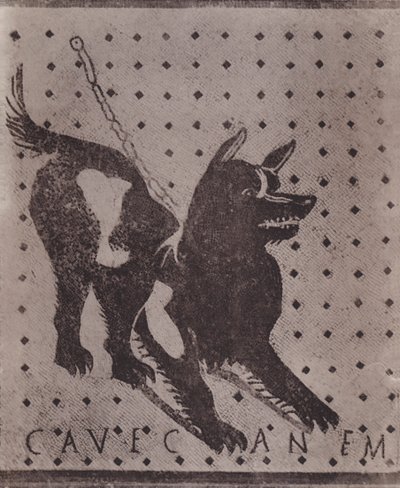 Mosaïque, Cave Canem - Italian Photographer