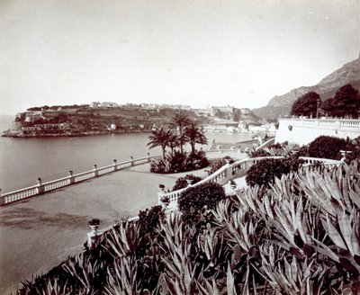 Panorama de Montecarlo. Au premier plan, végétation dense de plantes d