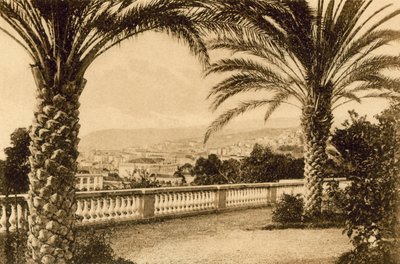 San Remo, Parmi les Palmiers - Italian Photographer