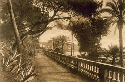 San Remo, Jardins - Italian Photographer