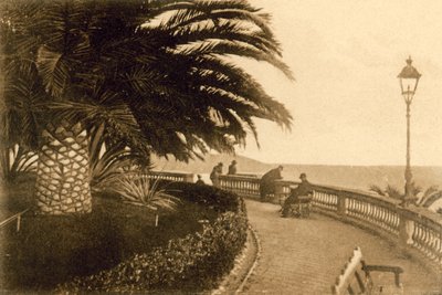 San Remo, Jardins de la Reine Elena (photo n/b) - Italian Photographer
