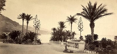 Le jardin du Casino de Montecarlo, dans la Principauté de Monaco - Italian Photographer