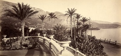 Le jardin du Casino de Montecarlo, dans la Principauté de Monaco - Italian Photographer