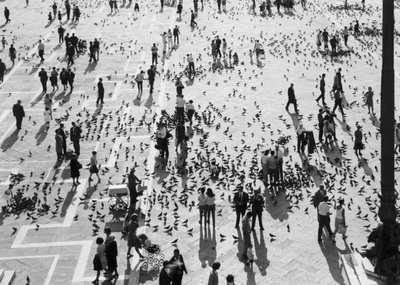Vue de la foule sur la Piazza San Marco, Venise, vers 1965 - Italian Photographer
