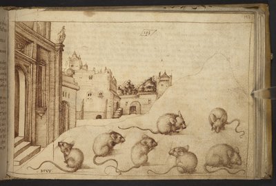 Des souris (