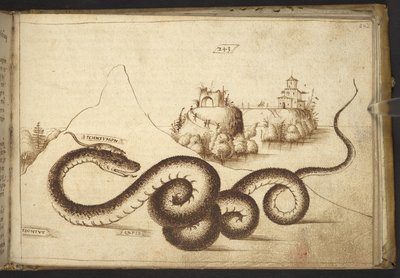 Un serpent (