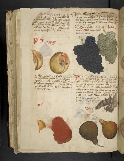 Fruits, de 