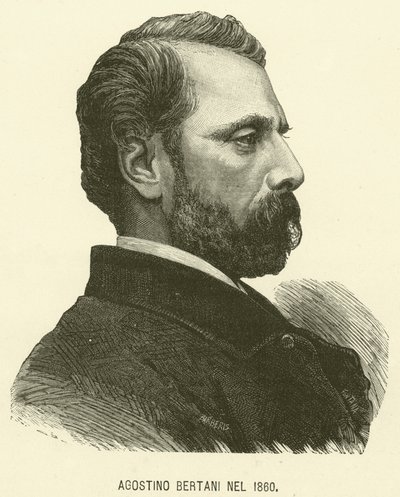 Agostino Bertani Nel 1860 (gravure) - Italian School