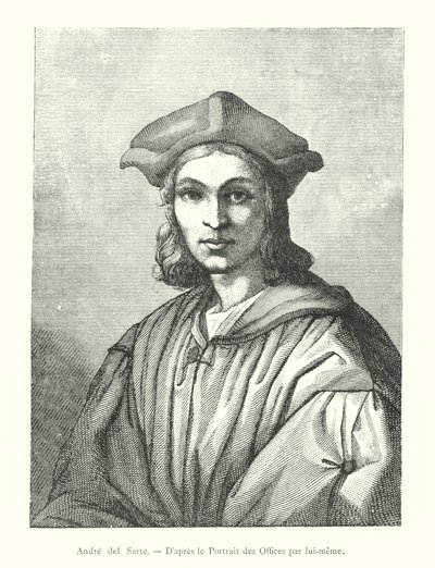 Andrea del Sarto, D