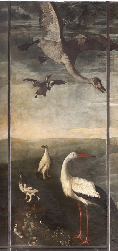 Animaux, Mythe d