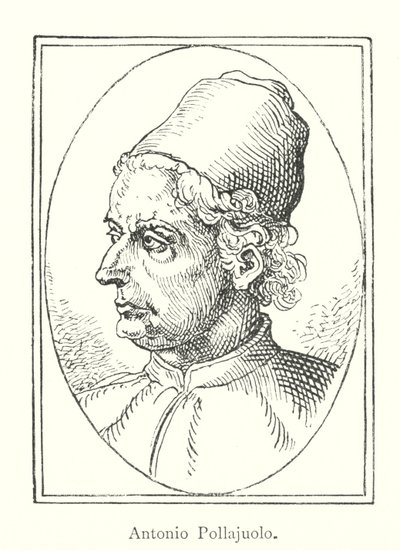 Antonio Pollajuolo - Italian School