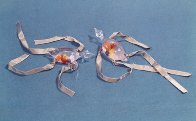 Copie de deux thermomètres médicaux du Museo di Storia della Scienza à Florence - Italian School