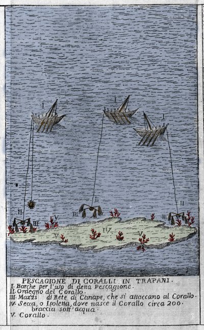 Pêche de corail dans le golfe de Trapani en Sicile, une représentation de petites îles sous-marines où se forment des barils de corail. Gravure de « Stato Presente della Sicilia » par Arcangelo Leanti, Palerme 1761 - Italian School