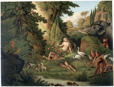 Création d