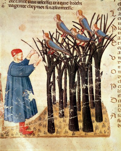 Dante et les Âmes Transformées en Oiseaux, de La Divine Comédie de Dante Alighieri (1265-1321) - Italian School
