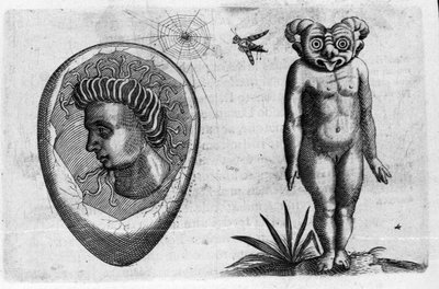 Différents types de monstres humains : un homme fossile et un monstre. Gravure de « De monstrorum natura, causis et differentiis » par Fortunio Liceti, scientifique italien. 1646 - Italian School