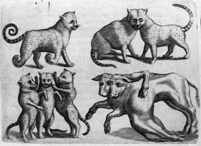 Différents types de monstres : chats et vaches avec plusieurs corps. Gravure de « De monstrorum natura, causis et differentiis » par Fortunio Liceti, scientifique italien. 1646 - Italian School