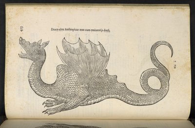 Dragon éthiopien 