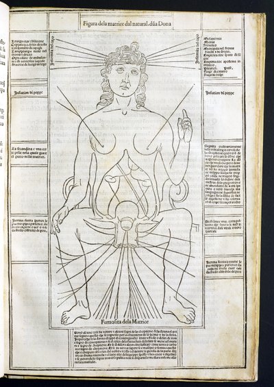 Anatomie féminine du Fasciculus Medicinae par Johannes de Ketham (d.c.1490) vers 1507 - Italian School