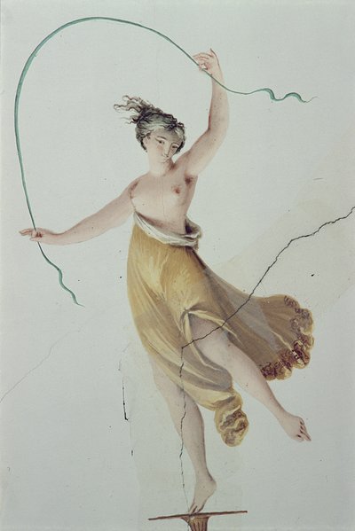 Figure du plafond de la chambre de l