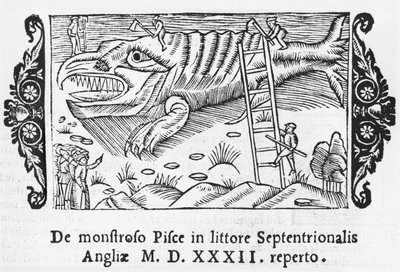 Monstre marin, illustration de Historia de Gentibus Septentrionalibus par Olaus Magnus (1490-1558), publié à Rome, 1555 - Italian School
