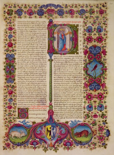 Fol.231r Première lettre de Saint Pierre aux Apôtres, de la Bible Borso d