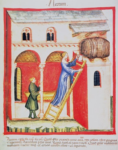Vinaigre, illustration du Tacuinum Sanitatis Codex Vindobonensis - Italian School