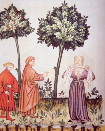 Choléra, illustration du Tacuinum Sanitatis Codex Vindobonensis - Italian School