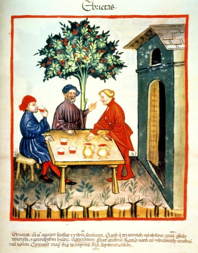 Ivresse, illustration du Tacuinum Sanitatis Codex Vindobonensis - Italian School
