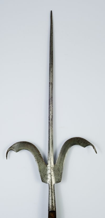 Lance de Friuli, c.1600 - Italian School
