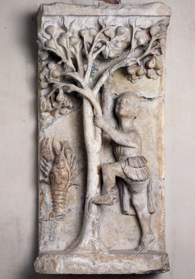 Cueillette des fruits, allégorie du mois de juin ou octobre - Italian School