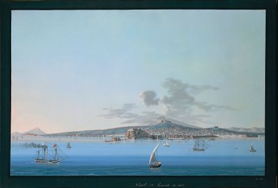 Vue générale de Naples depuis la mer - Italian School