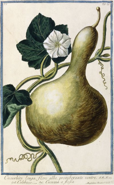 Gourde, 1772-1784 - Italian School
