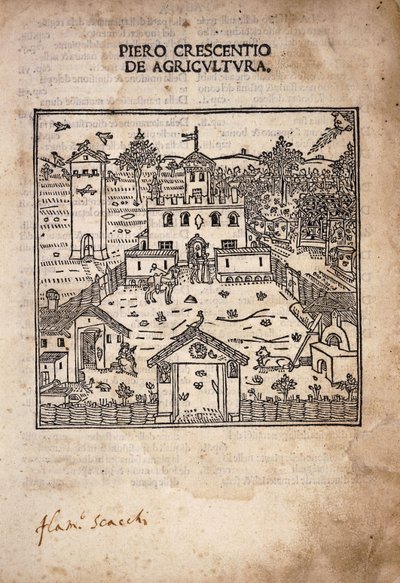 Page de titre illustrée de 