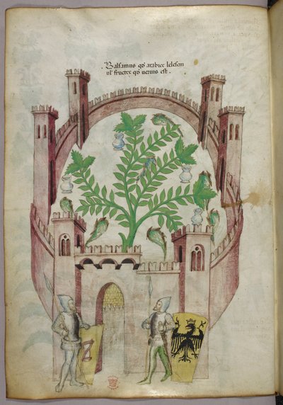 Illustration du jardin de baume du Caire (Fustat), avec sept bassins d