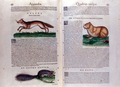 Illustrations de 