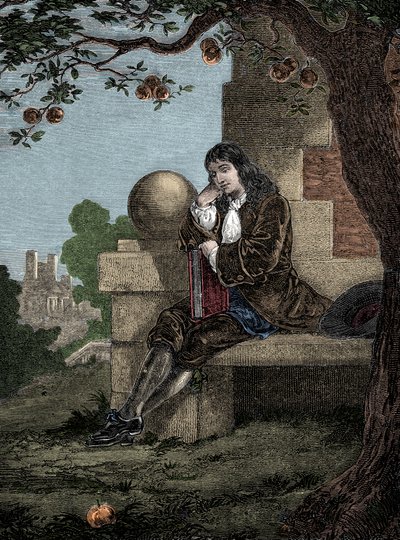 Isaac Newton observant une pomme tomber au sol alors qu