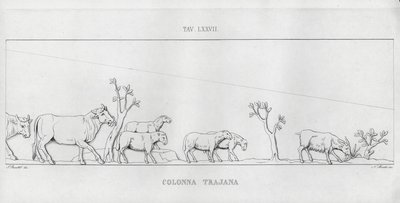 La Colonne Trajane (gravure) - Italian School